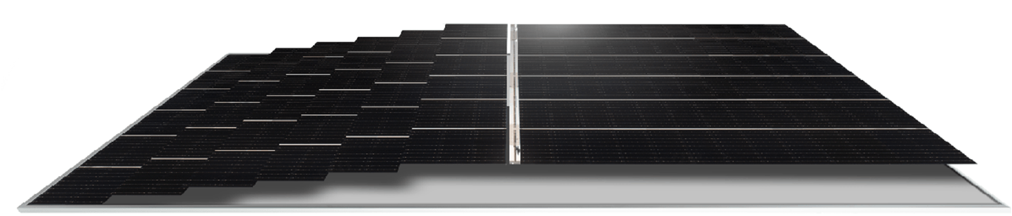 tiger pro solar panel
